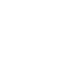 Aviatrix